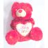 Led Red Teddy Bear 